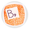 Biosaccharide Gum